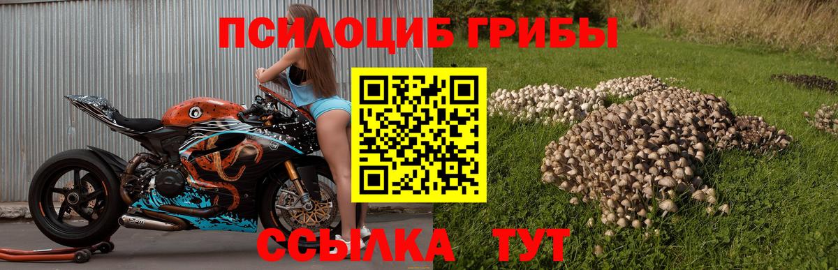 Галлюциногенные грибы мухоморы  Вход с VPN  Азнакаево 